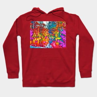 Water Reflections Hoodie